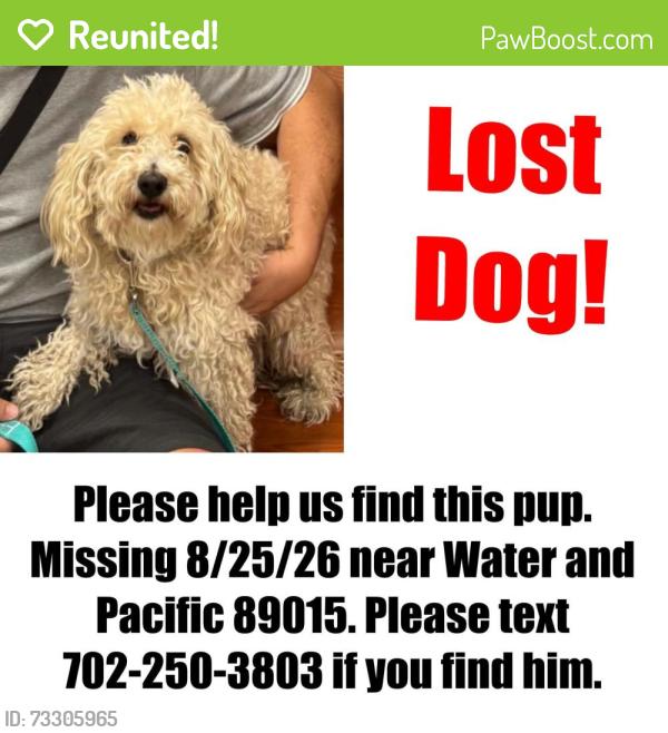 Reunited Male Dog last seen Water St & Pacific, Henderson, NV 89015