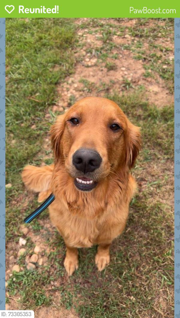 Reunited Female Dog last seen Smith Graveyard Rd/Eliada Home Road, Asheville, NC 28806