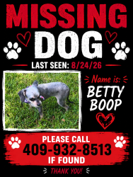 Lost Female Dog last seen Lamar University, Beaumont, TX 77702