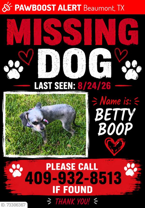 Lost Female Dog last seen Lamar University, Beaumont, TX 77702