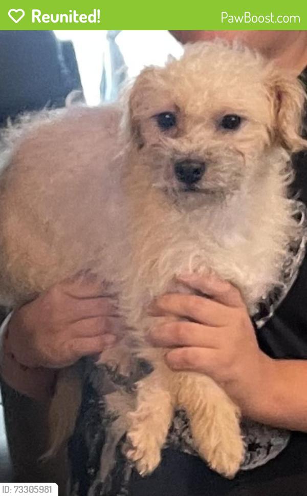 Reunited Male Dog last seen Near Rd 5708, Cleveland, TX 77327, USA, Cleveland, TX 77327
