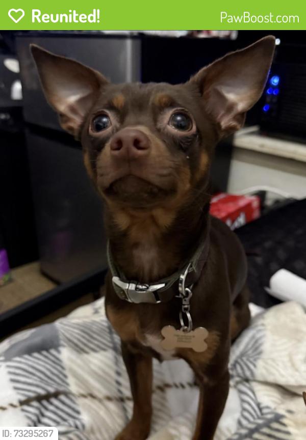 Reunited Male Dog last seen Near TX-16, San Antonio, TX 78224, USA, San Antonio, TX 78224