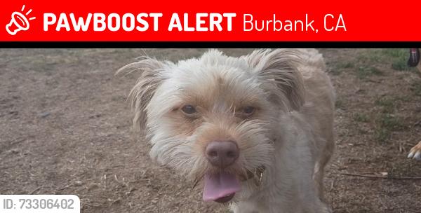 Lost Male Dog last seen Empire ave and valpreda st, Burbank, CA 91504