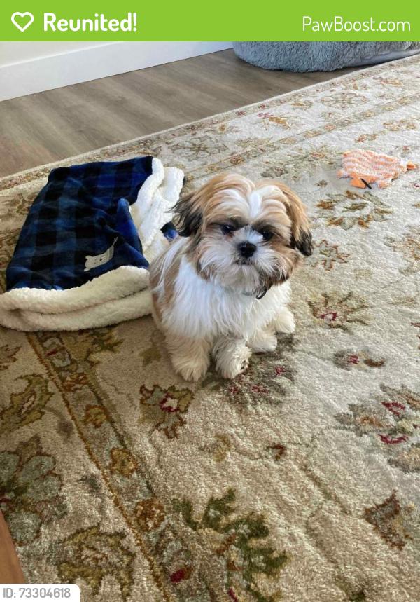 Reunited Male Dog last seen Eastern and 58th, Davenport, IA 52807