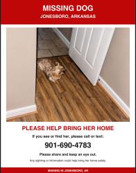 Reunited Female Dog last seen Red wolf, Jonesboro, AR 72404