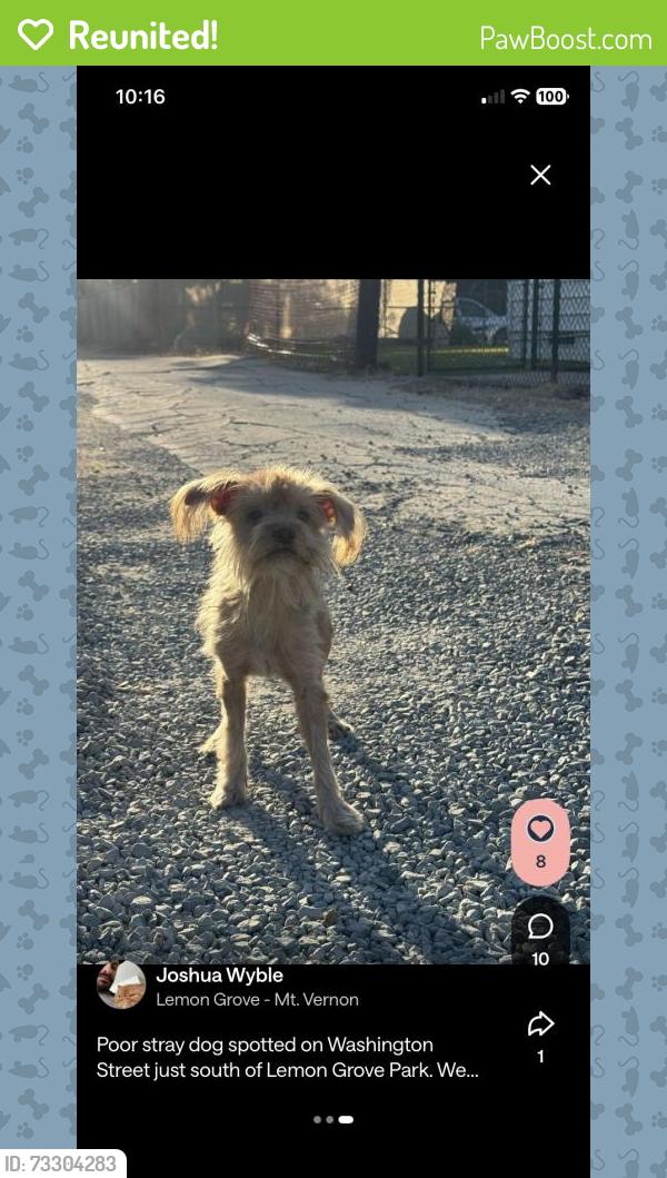 Reunited Unknown Dog last seen Washington St, Lemon Grove, CA 91945, USA, Lemon Grove, CA 91945