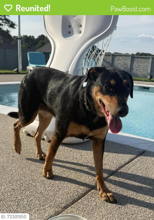 Reunited Female Dog last seen Canada Rd, Lakeland, TN 38002