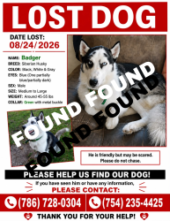 Reunited Male Dog last seen 149th Place hmstd Fl 33033, Homestead, FL 33033