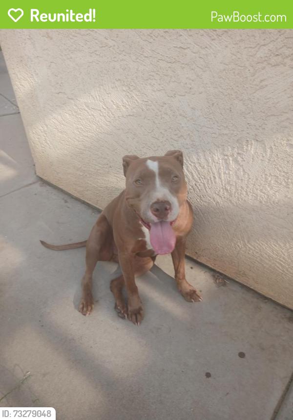 Reunited Male Dog last seen Don Pedro park, Ceres, CA 95307