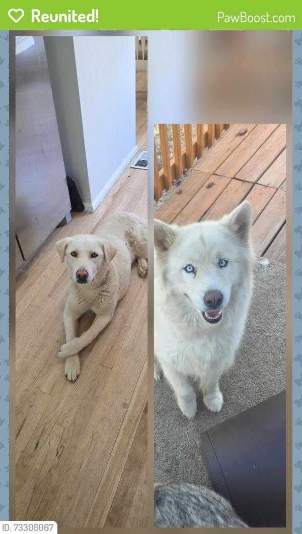 Reunited Female Dog last seen Dunkirk, Aurora, CO 80013