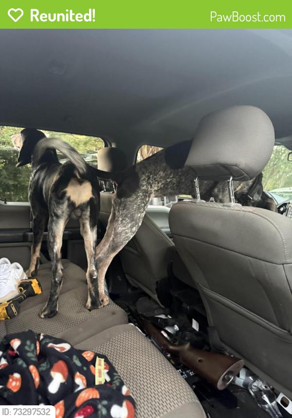Reunited Male Dog last seen Hurst Rd and McDaniel Mill Rd, Conyers, GA 30013