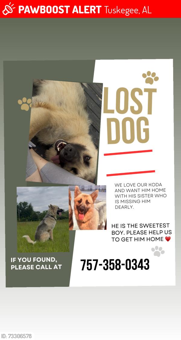 Lost Male Dog last seen By old cattle field, Tuskegee, AL 36083