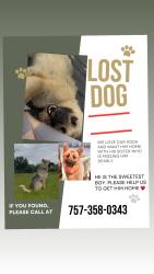 Lost Male Dog last seen By old cattle field, Tuskegee, AL 36083