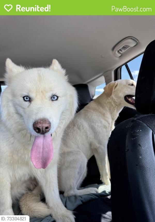 Reunited Female Dog last seen S. Andes Way and Colorado Dr., Aurora, CO 80017