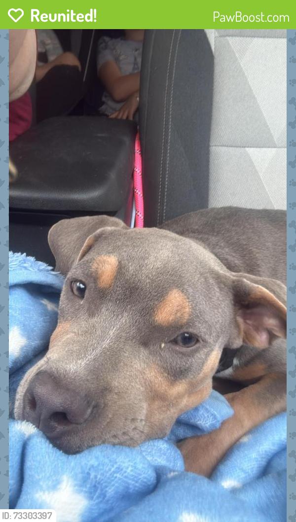 Reunited Male Dog last seen Heritage Oak Dr, Brownsville, TX 78526, USA, Brownsville, TX 78526