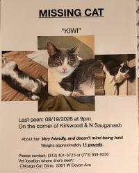 Reunited Female Cat last seen Near N Kirkwood Ave, Chicago, IL 60646, USA, Chicago, IL 60646