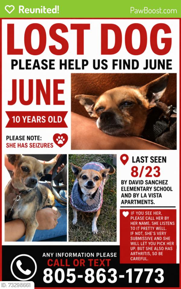 Reunited Female Dog last seen La vista apmts, Santa Maria, CA 93458