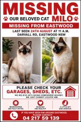 Lost Male Cat last seen Darvall road, Eastwood, Eastwood, NSW 2122