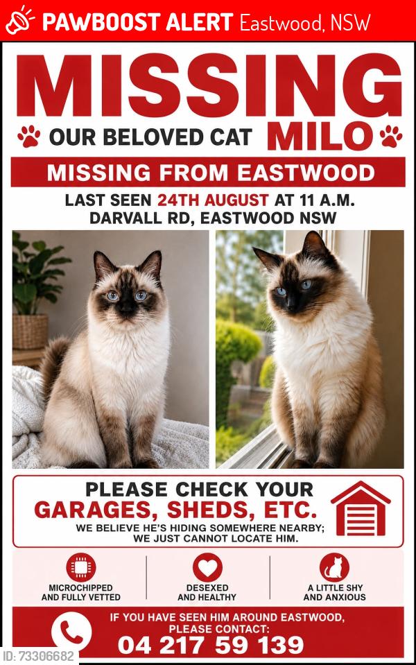 Lost Male Cat last seen Darvall road, Eastwood, Eastwood, NSW 2122