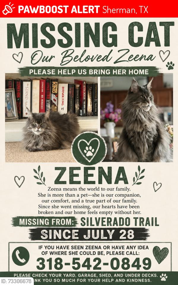 Lost Female Cat last seen Silverado Trail, Sherman, TX 75092