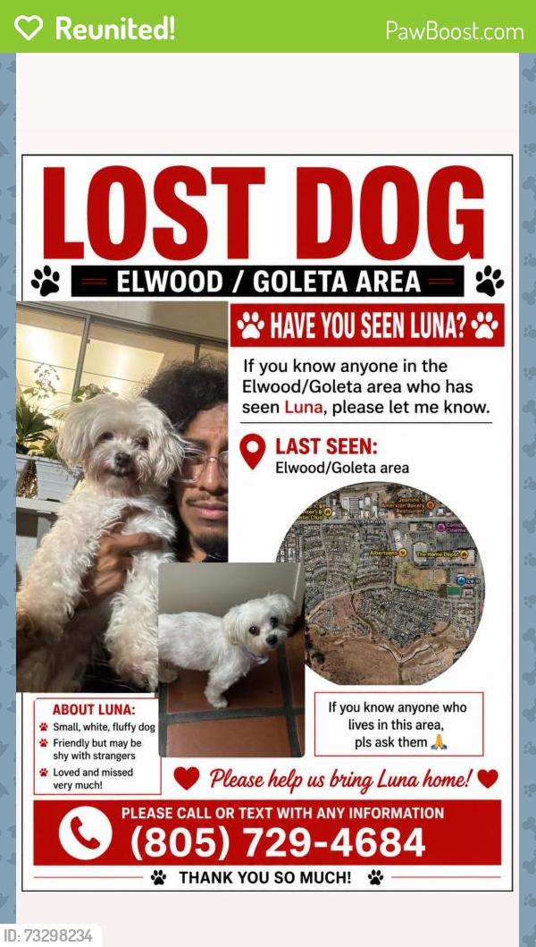 Reunited Female Dog last seen Hollister, Goleta, CA 93117