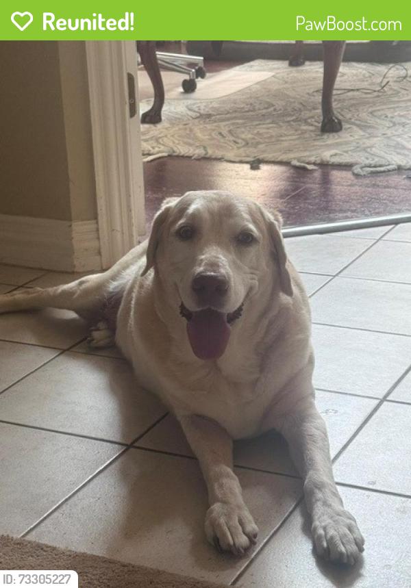 Reunited Male Dog last seen Heritage and Hall Johnson, Grapevine, TX 76051