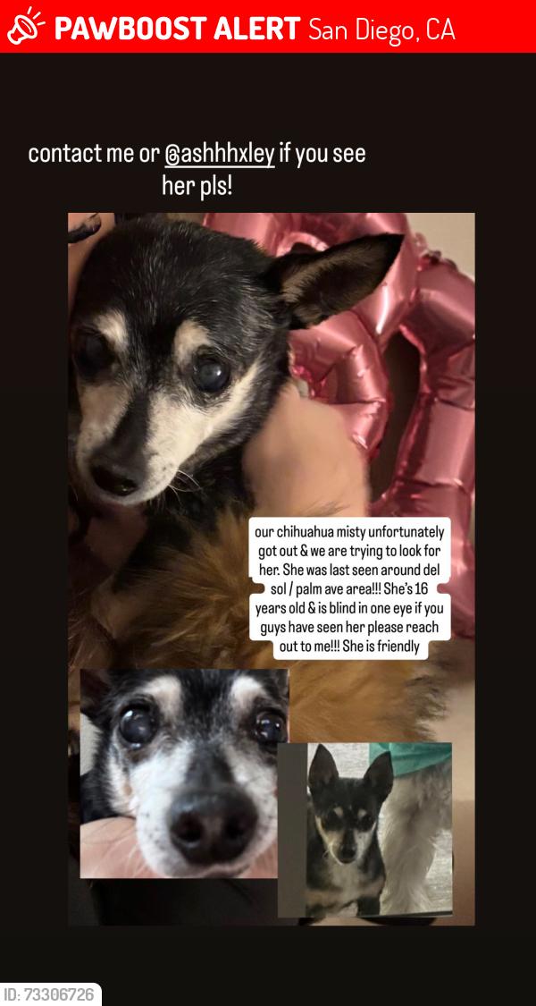 Lost Female Dog last seen Firethorn, San Diego, CA 92173
