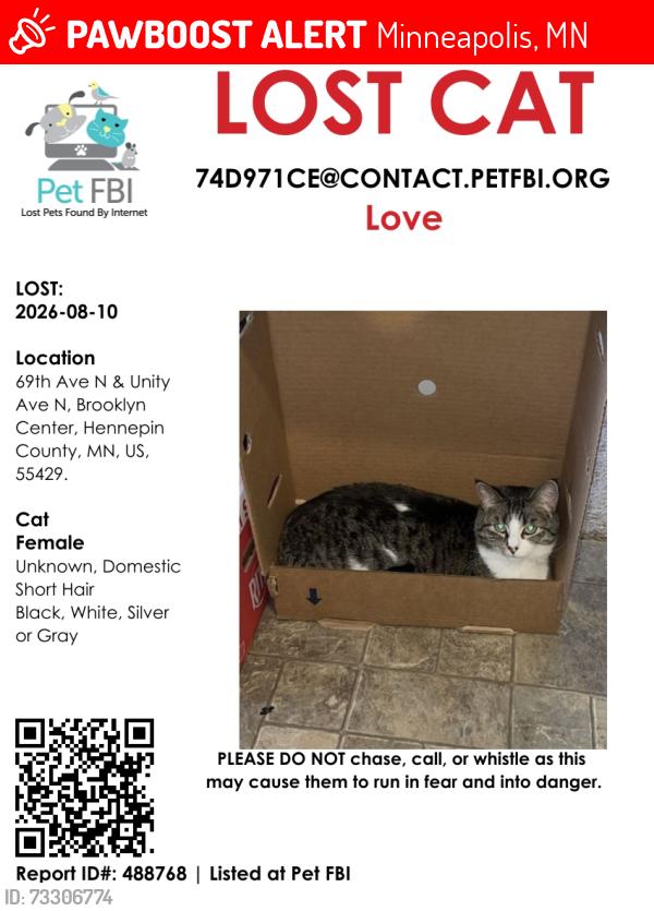 Lost Female Cat last seen 69th and Unity, Minneapolis, MN 55429