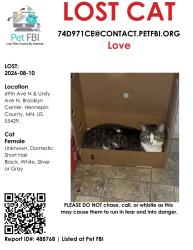 Lost Female Cat last seen 69th and Unity, Minneapolis, MN 55429