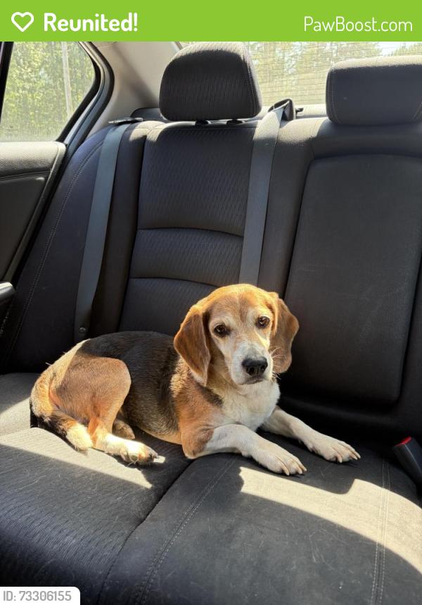 Reunited Male Dog last seen near graveyard, Lexington, NC 27295
