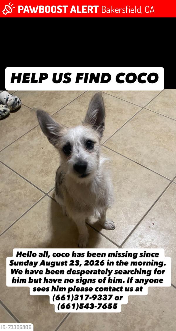 Lost Male Dog last seen Dr Martin Luther king jr blvd, Bakersfield, CA 93307