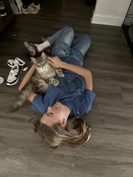 Reunited Male Cat last seen Habersham ave Rocky point nc, Pender County, NC 28457