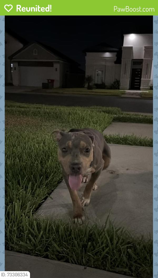 Reunited Unknown Dog last seen Woodland avenue, Brownsville, TX 78526