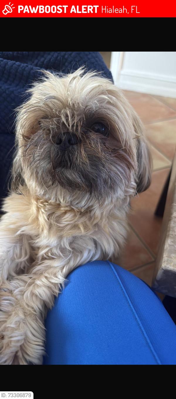 Lost Male Dog last seen 189th ln, Hialeah, FL 33015