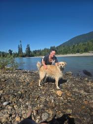 Lost Male Dog last seen N Tieton Rd and Beffa Rd, Tieton, WA 98947