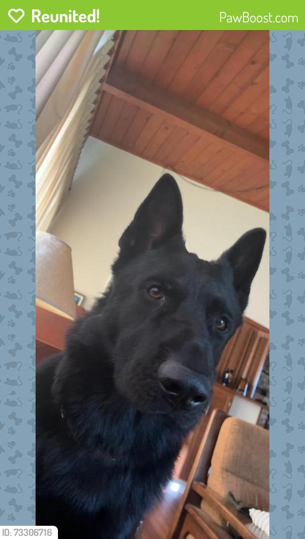 Reunited Male Dog last seen Near Judith ln, Lafayette, CA 94549