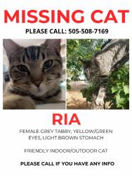 Lost Female Cat last seen Ramada Way West, Santa Fe, NM 87508