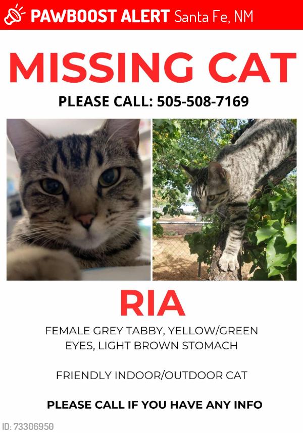 Lost Female Cat last seen Ramada Way West, Santa Fe, NM 87508