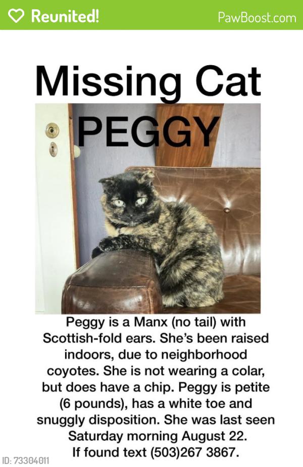 Reunited Female Cat last seen 10th and bush, Portland, OR 97202
