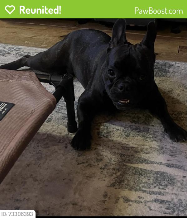 Reunited Male Dog last seen West Richardson st. Oxford ga, Oxford, GA 30054