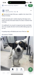 Reunited Male Dog last seen Coit and Emily, Dallas, TX 75240