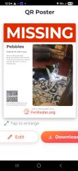Reunited Female Dog last seen Kerth and karamar, Tesson Ferry Township, MO 63128