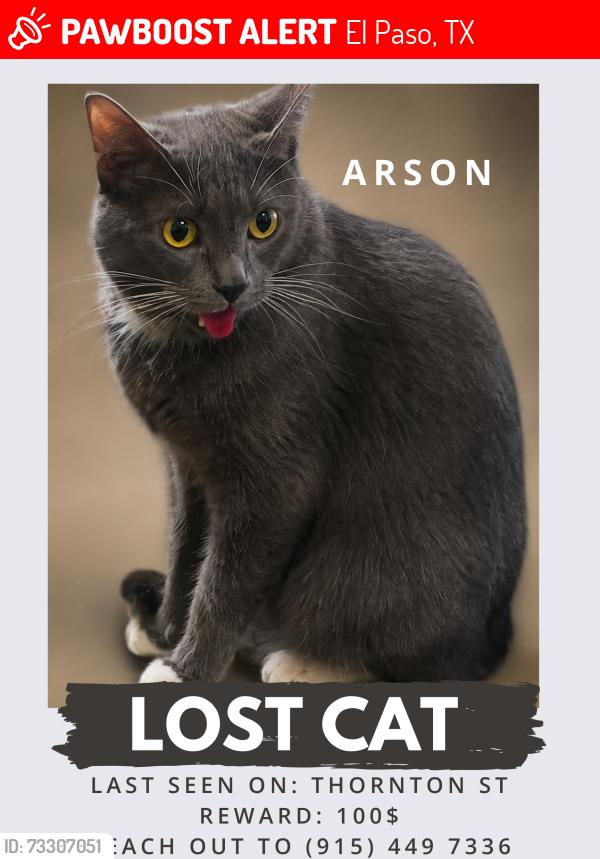 Lost Male Cat last seen Doniphan, El Paso, TX 79932