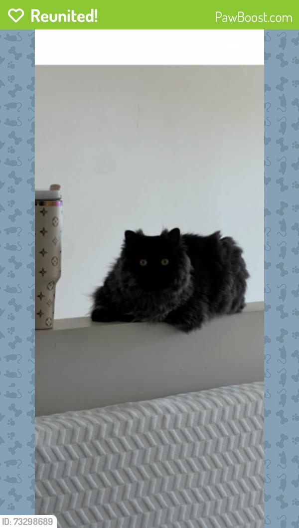 Reunited Male Cat last seen Frontier and mission, Oceanside, CA 92054