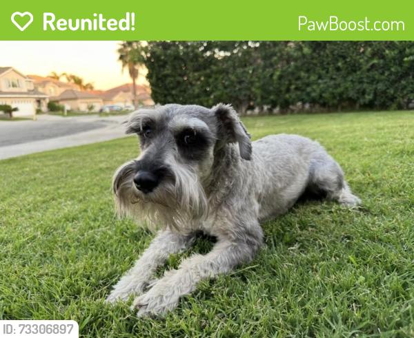 Reunited Male Dog last seen Magnolia in sierra lakes, Fontana, CA 92336