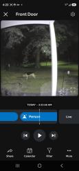 Found/Stray Unknown Dog last seen Between Williston and Old Hollow Rd/66, Walkertown, NC 27051