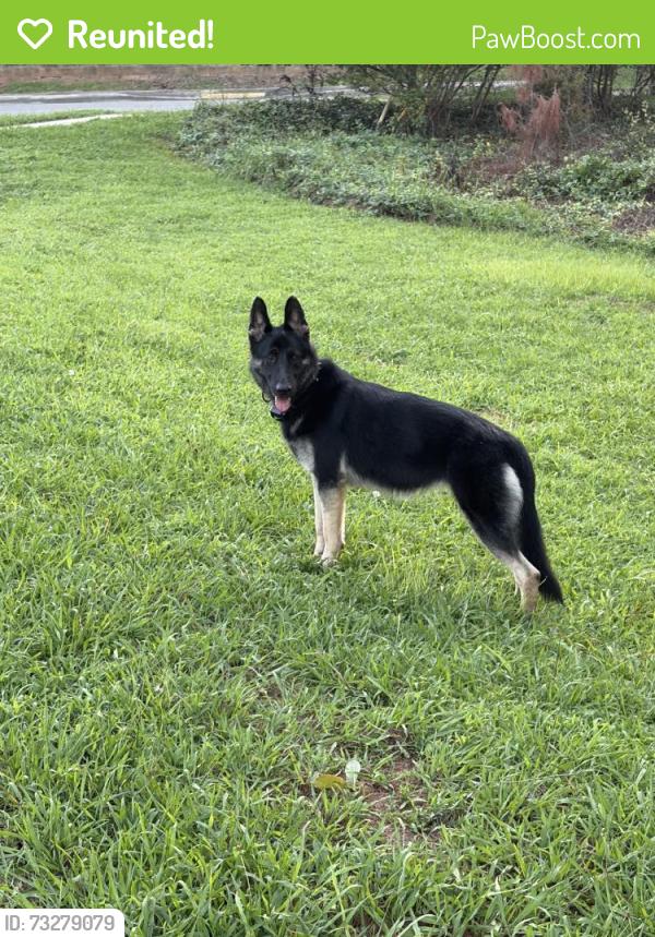 Reunited Unknown Dog last seen Hendrick dr, Gastonia, NC 28052