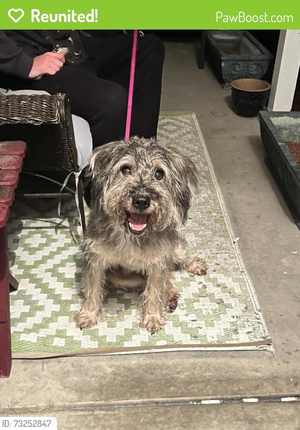 Reunited Male Dog last seen Lenoir Dr., Anderson Creek, NC 28390