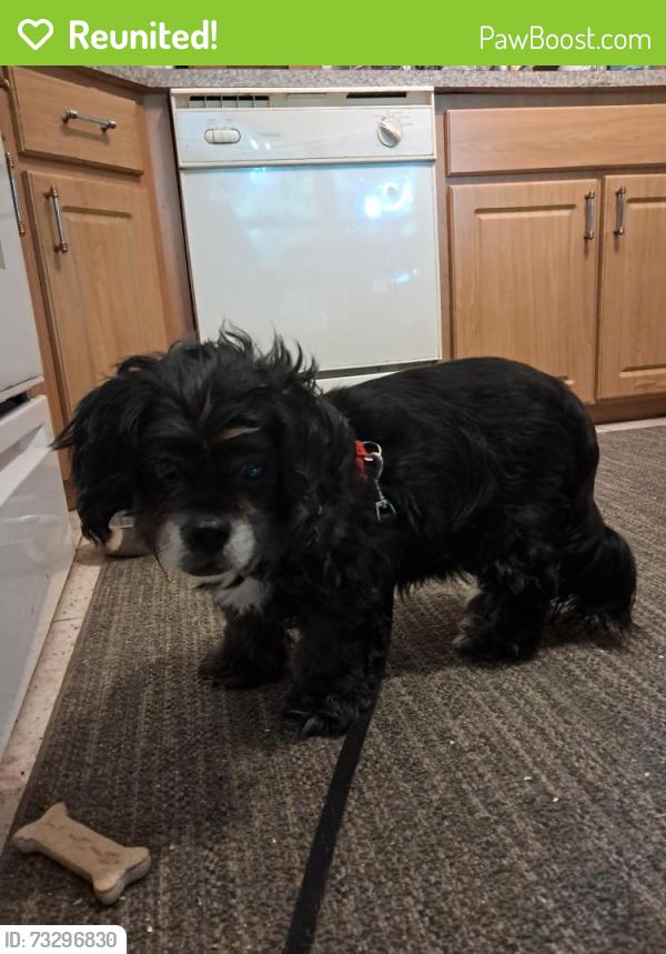Reunited Unknown Dog last seen Defender st/hillard rd NW , Palm Bay , Fl, Palm Bay, FL 32907