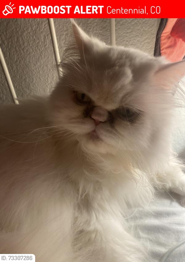 Lost Male Cat last seen De keovend park, Centennial, CO 80121